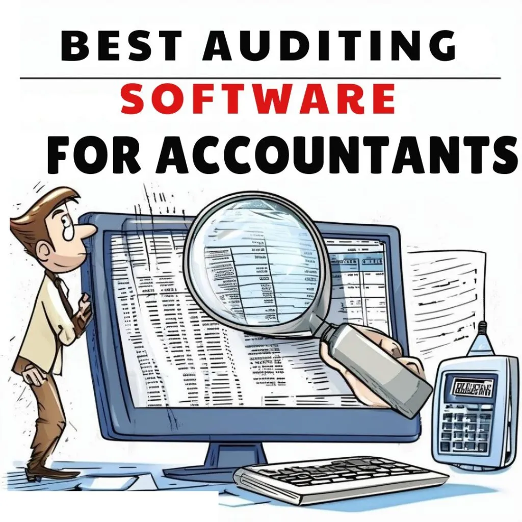 best auditing software for accountants cartoon